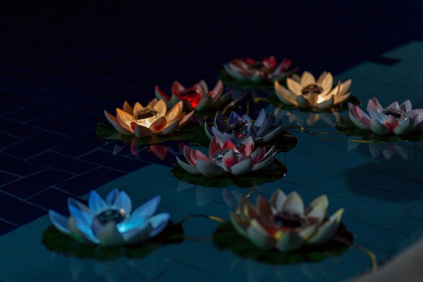 Apartments Villa Mia