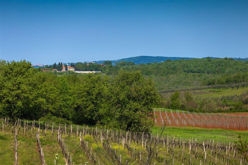 Villa Marilena s bazenom