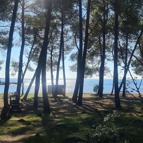 Apartments APARTMENTS IVO ROVINJ CROATIA