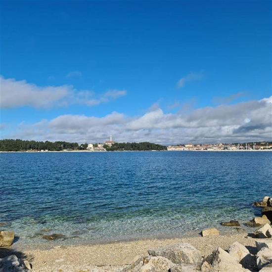 Apartments APARTMENTS IVO ROVINJ CROATIA