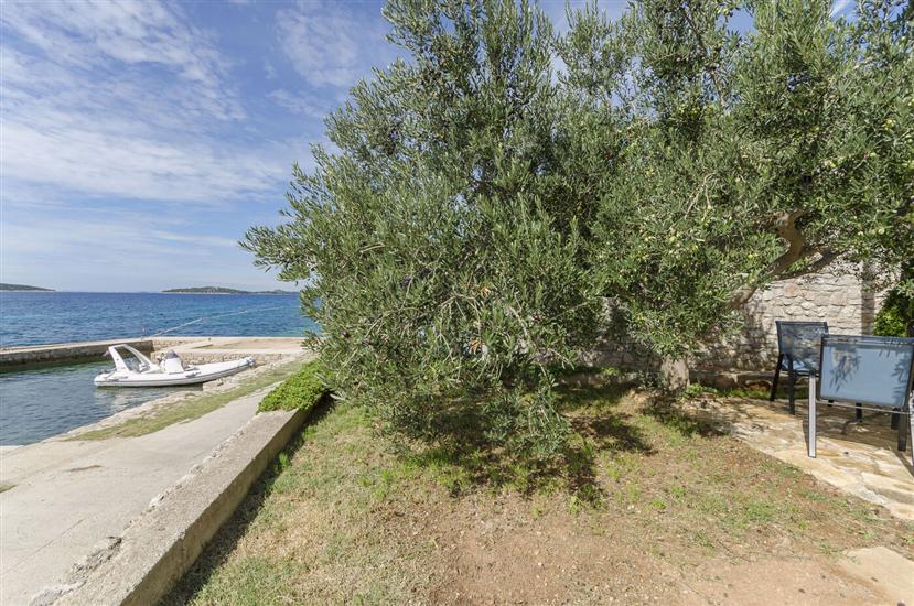 Apartment Island memories