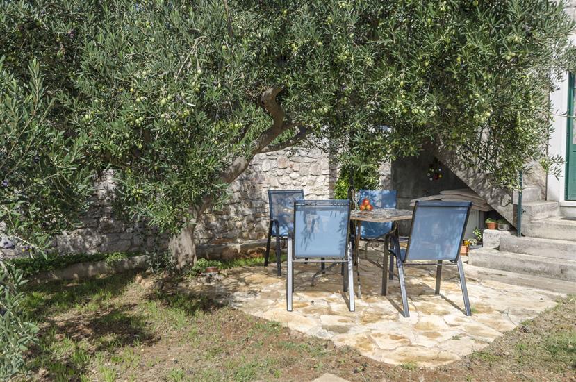 Apartment Island memories