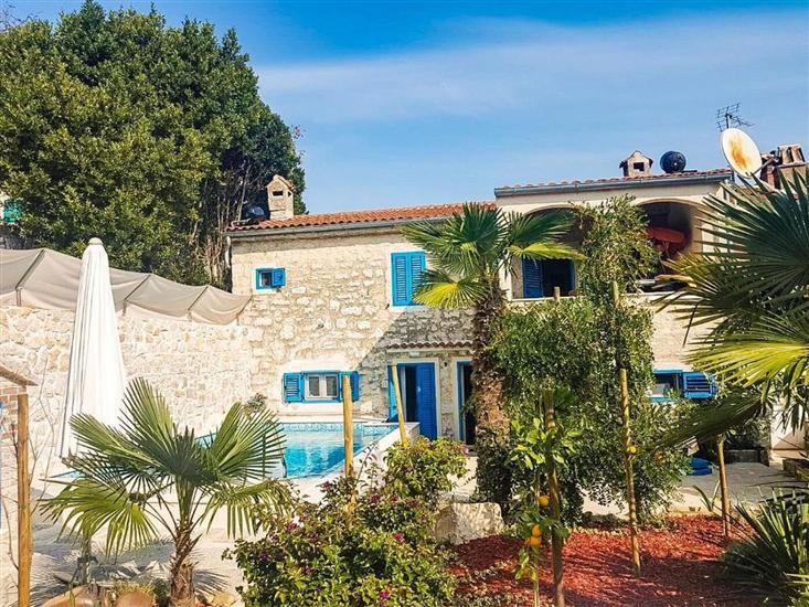 Apartment VINCI  1906