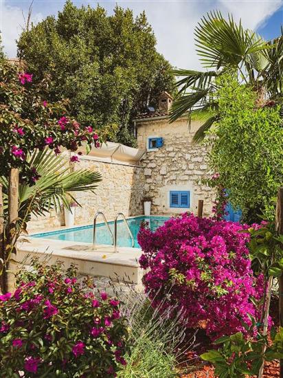 Apartment VINCI  1906