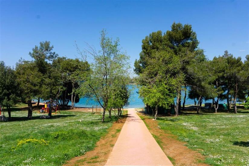 Apartment VINCI  1906