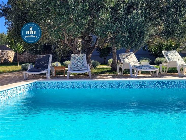 Apartament Olive shared pool