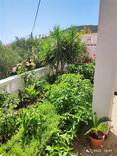 Apartment A1, for 3 persons