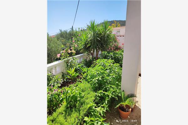 Apartment A1, for 3 persons