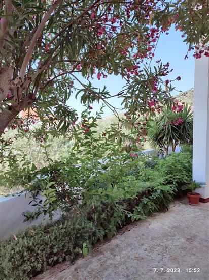 Apartment A1, for 3 persons