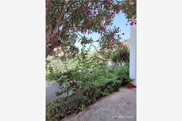 Apartment A1, for 3 persons