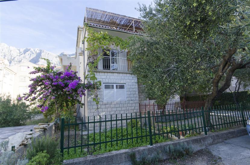 Apartments Jadro