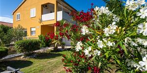Apartment - Seline