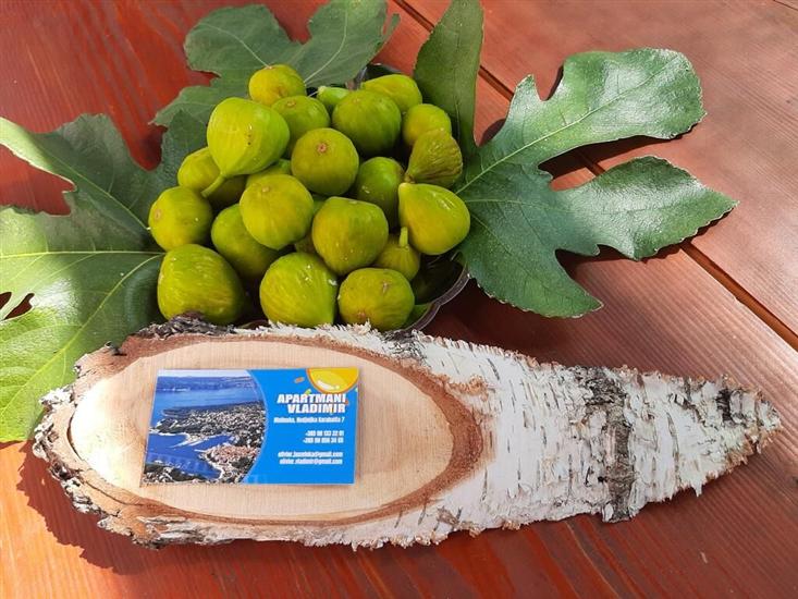 Апартаменты Vladimir