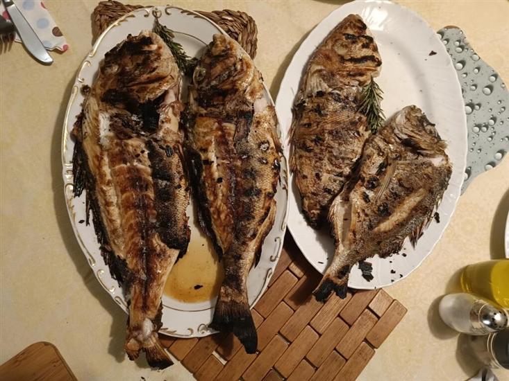 Apartment A2, for 3 persons