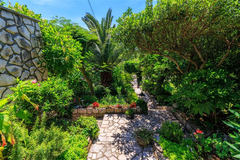 Apartments and Room Mirjana