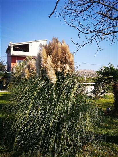 Apartments Holiday home Book