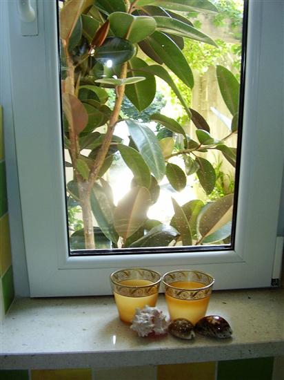 Appartement A1, pour 4 personnes