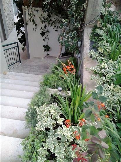 Appartements et Chambre Milena