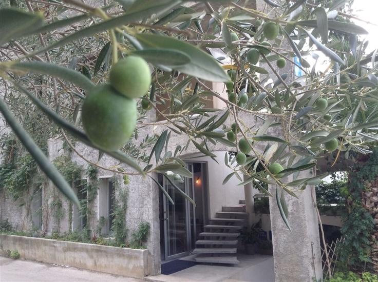 Appartements et Chambre Milena