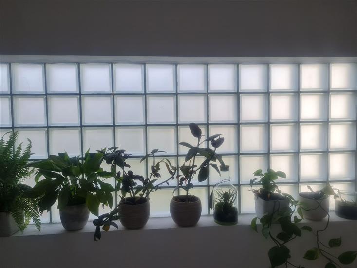 Apartment Anea