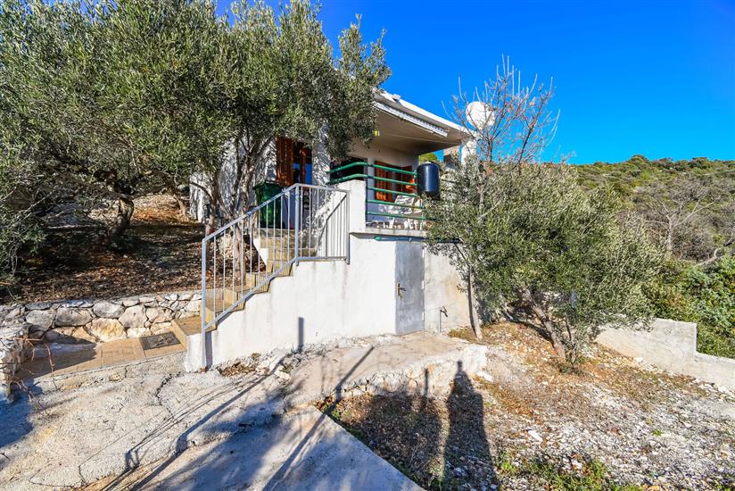 House Small Robinson