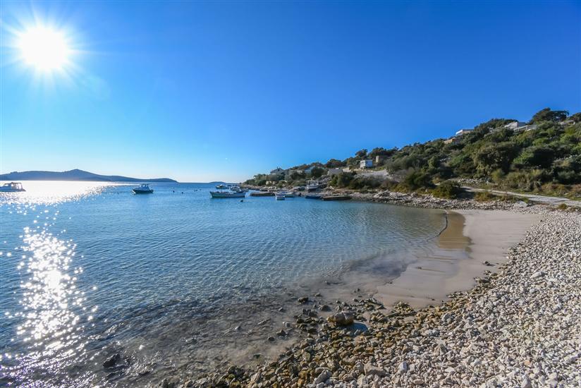 House Small Robinson