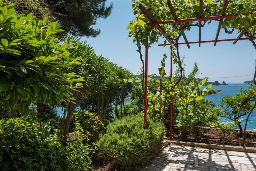 Apartments Villa Magnolia