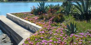 Apartment - Mali Losinj - island Losinj