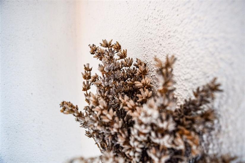 Apartment A1, for 3 persons