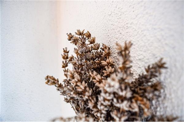 Apartment A1, for 3 persons