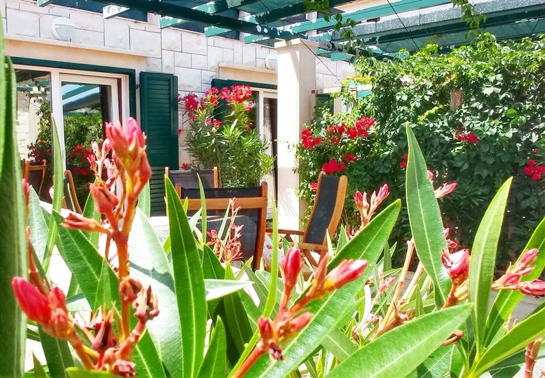 Apartment A1, for 3 persons