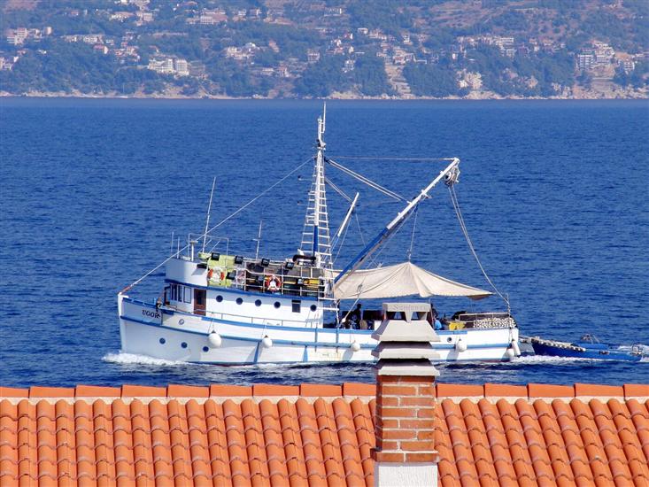 Apartment A1, for 3 persons