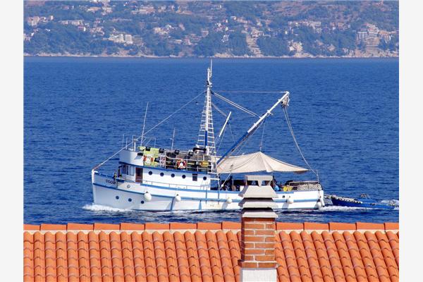 Apartment A1, for 3 persons