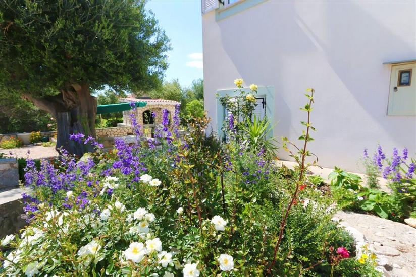 Apartments Vacation Jakisnica