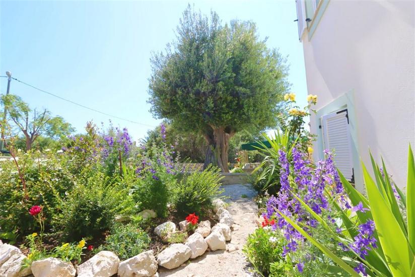 Apartments Vacation Jakisnica