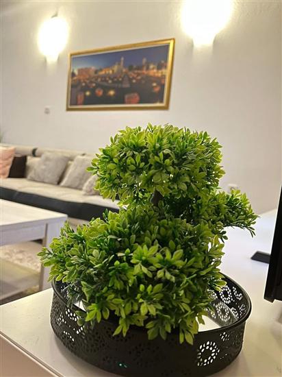 House K1, for 10 persons