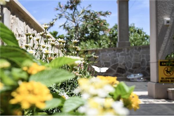 Apartment A2, for 3 persons