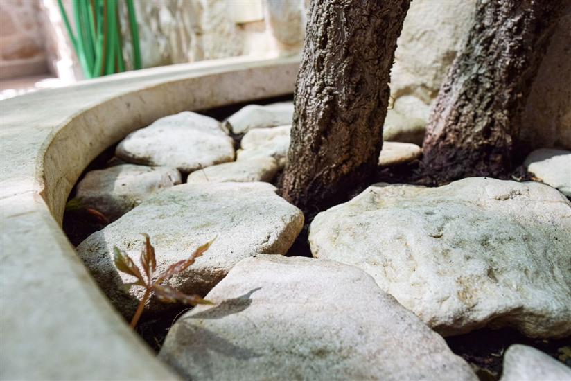 Apartment A4, for 3 persons