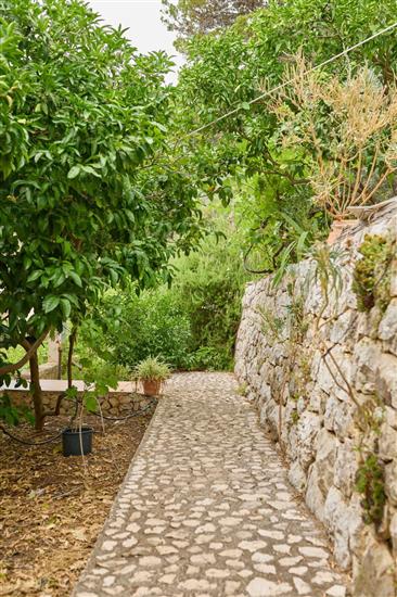 Apartmaji Jany