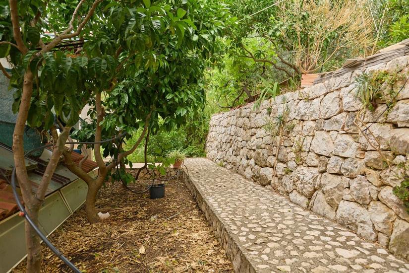 Apartmaji Jany