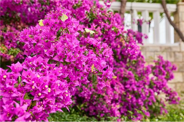 Apartment A3, for 3 persons