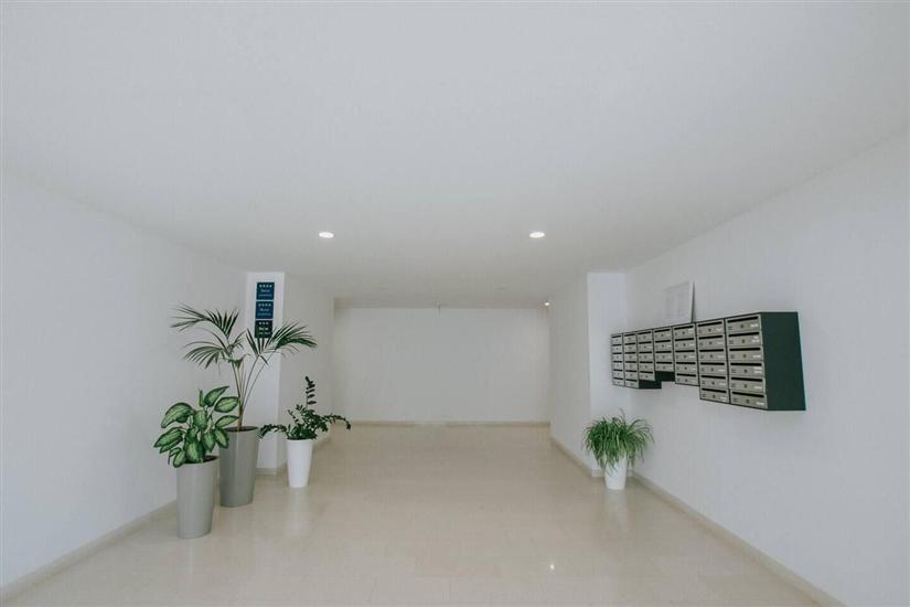 Apartment Blue Oasis