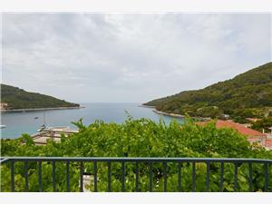 Apartments Jany , Size 44.00 m2, Airline distance to the sea 40 m, Airline distance to town centre 40 m