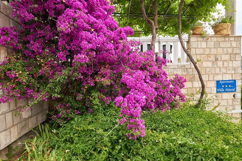 Apartmaji Jany