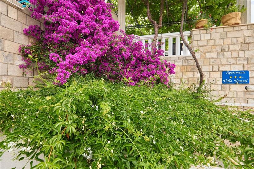 Apartmaji Jany