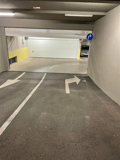 Apartment Blue Oasis