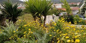 Apartment - Vinisce