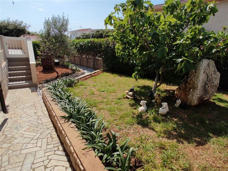 Apartments Mandre near sea