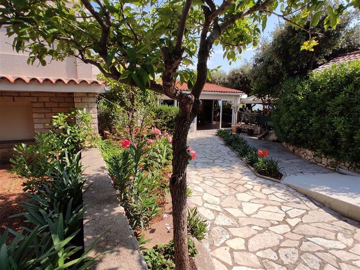 Apartments Mandre near sea