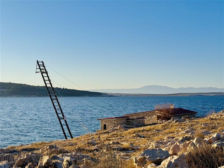 Apartments Ivo P. with Sea View